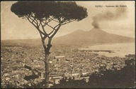 Napoli - Panorama dal Vomero - E. Ragozino Galleria Umberto Napoli 1908