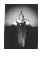 Pocztówka - Aktorka z rybą na twarzy, czyli Niema ...