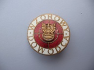 WZOROWY DOWÓDCA stara ODZNAKA
