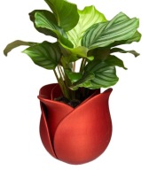 Doniczka na prezent Duża Plastikowa Czerwona Dekoracyjna Ozdobna Art