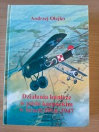Działania lotnicze w pasie karpackim w latach 1914 - 1948 - Andrzej Olejko