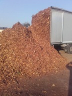 Kora Sosnowa kompostowana