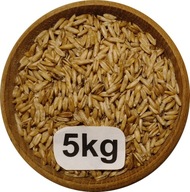 Owies Bezłuskowy, Nagi, 5kg, 2025r