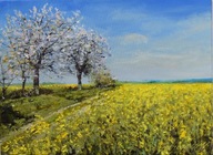 Rzepak" obraz olejny na płótnie 30x40cm , oryginał Garncarek Al,,,