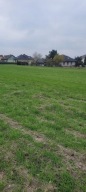 Działka, Lędziny, Bieruńsko lędziński, 1016 m²