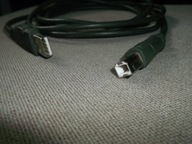 Belkin Kabel belkin USB 2.0 A-B 2m czarny - Kabel USB - 2 metry