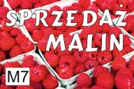 BANER PLANDEKA SPRZEDAŻ MALIN 120X80 M7