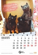 Charytatywny kalendarz Kociego Zakątka 2026 A3