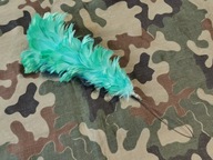 Kita Pióra Księstwo Warszawskie -3-