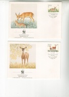 Ssaki-ciekawe koperty ilustrowane