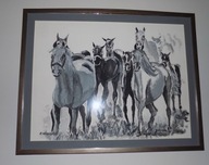 OBRAZ AKWARELA KOŃ KONIE Tabun