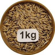Owies Ozimy, Biały, Polski, Od Rolnika 1kg, 2025r