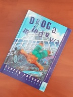 Książka DROGA MIODOWA - Miodal i Łabędź - POTOCKI