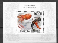 FLORA I FAUNA MOR. MUSZLE. UNION COMORES. Mi Bl.A**2010r