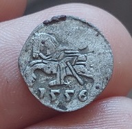 Denar 1556 Wilno, Zygmunt II August