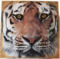 szkatułka ,pudełko drewniane, dla dziecka