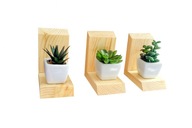 Drewniana mini półka / kwietnik 3 sztuki naturalne drewno