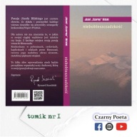 niebobieszczadzkość (Bieszczady, poezja)