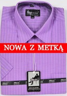 Koszula męska fioletowa w paski na krótki rękaw kołnierzyk 40/41