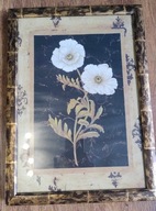 Obrazek w ramie dwa białe kwiaty tylipany obraz motyw roślinny