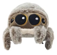 Pluszowy Mały Pająk Lucas