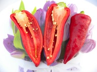 Papryka Lydia słodka bardzo wczesna plenna nasiona kolekcjonerskie