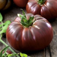 Sadzonka Pomidora odmiana Noire de Crime