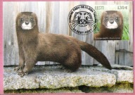 Estonia 2024, MC FDC fauna, norka europejska