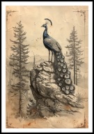 A2 PLAKAT RYSUNEK SZKIC VINTAGE RETRO PTAK PAW PLAKAT Z PAWIEM