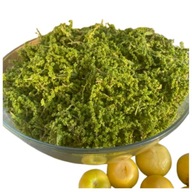 NASIONA POKRZYWY SKÓRA CUKRZYCA MIAŻDZYCA JELITA PROSTATA WŁOSY PAZNOKCIE