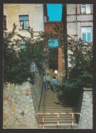 POLSKA - SANDOMIERZ - UCHO IGIELNE - 1977 - BEZ OBIEGU