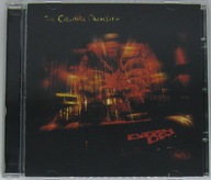 The Cinematic Orchestra – Every Day CD Jak Nowa