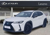 Lexus UX 200 GPF F Impression 2WD Salon PL ASO Lexus Leszno 2.0 171KM