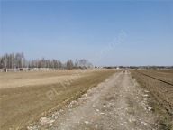 Działka, Falenty Nowe, Raszyn, Pruszkowski, 950 m²
