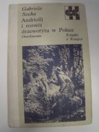 Andriolli i rozwój drzeworytu w Polsce Gabriela Socha