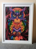 Mądra sowa -Haft Diamentowy