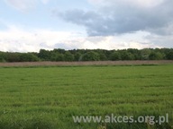 Dom, Duchnów, Wiązowna, Otwocki, 40 m²