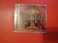 The Secret Around Us Contempt CD