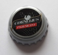 Kapsel Piotrków Trybunalski Nr 22