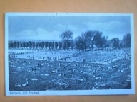KATOWICE BASEN KĄPIELOWY 1943 ROK KATTOWITZ O/S FREIBAD
