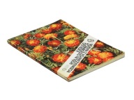 Katalog roślin ozdobnych rozmnażanych z nasion - Irena Chwedoruk