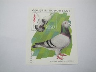 blok 156 Gołębie hodowlane