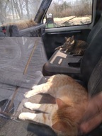 karta siemenes simatic s5 6es5 465-7la12