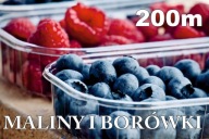 BANER SPRZEDAŻ BORÓWKI BORÓWKA MALINY 2x1 A8