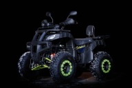 Quad ATV BIG LAMP Premium+ 250 AUTOMAT Hak Licznik
