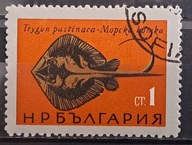 Ryby (**) - luzak - do uzupełnień 13/1