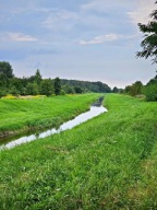 Działka, Dąbrowa, Ludwin, Łęczyński, 21100 m²