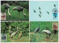 04-MC11- Korea Płd, WWF, 1988-Żurawie