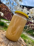 Miód LIPOWY 1kg ZBIÓR 2025r Pasieka U Antosia