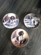 TALERZE DEKORACYJNE THE SPRINGER SPANIEL
